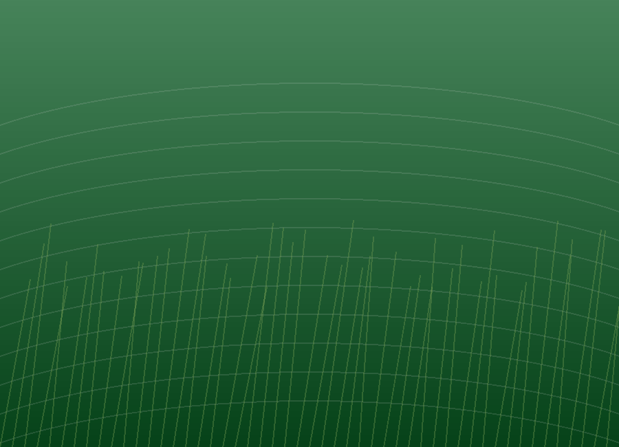Fresh green lawn texture